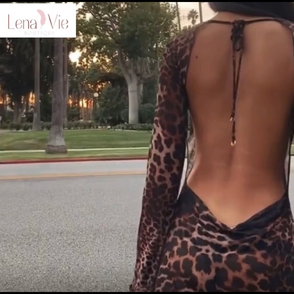 Babydoll Leo Backless Sheer Leopard Mini Dress, Backless Sexy Mesh Coverup - Picture 5 of 10
